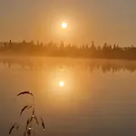 Nordseter Sjusjoen Fiske, Jakt, Tur Og