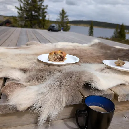 بيت للعطل Nordseter Sjusjoen Fiske, Jakt, Tur Og ليلّيهامّير
