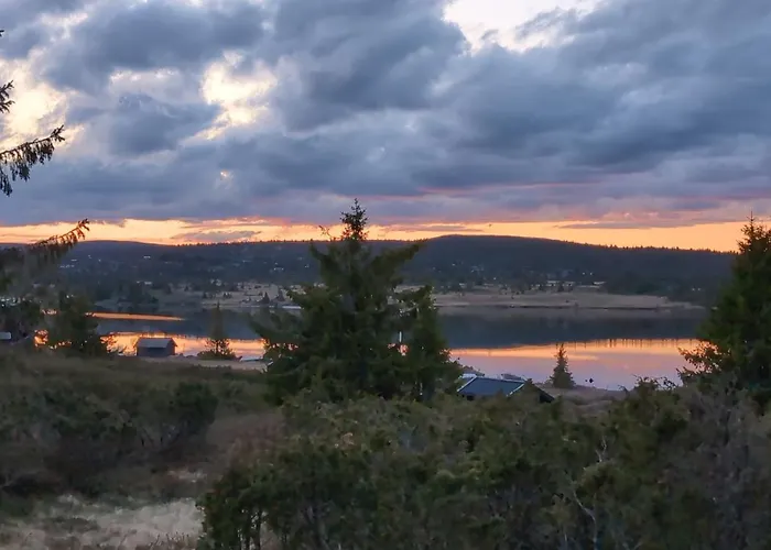 Nordseter Sjusjoen Fiske, Jakt, Tur Og *